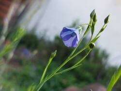 20260618_073526.jpg