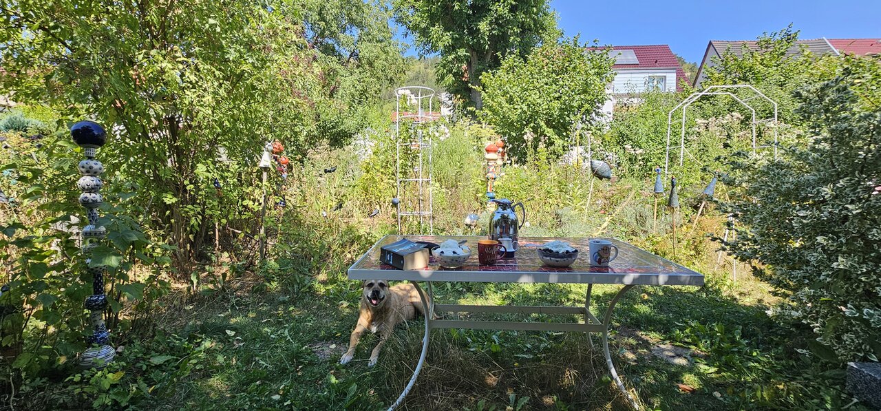 Bild