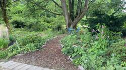 &quot;Waldgarten&quot;