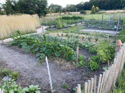 Gemüsegarten (Einfassungen folgen irgendwann)