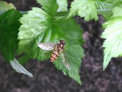 IMG_20230709_144755.jpg