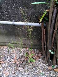 IMG_20230706_132401.jpg