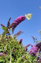 IMG_20230713_152320.jpg