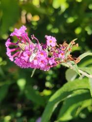 IMG_20230713_152239.jpg