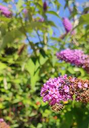 IMG_20230713_152355.jpg