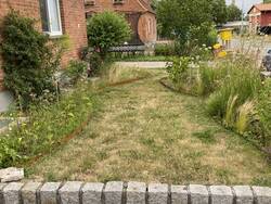 Vorgarten mit Stauden und Wildblumen