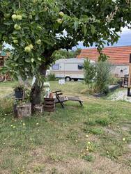 Blick in den hinteren Teil des Garten, weil er abschüßig ist, mussten mir ne kleine Mauer einfügen, man sieht unseren schönen alten Apfelbaum, den Walnußbaum und die neugepflanzte Dürckheimer Krachmandel