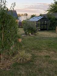 Blick von hinteren Gartenteil (Walnussbaum) aufs Gewächshaus