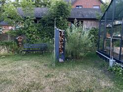 Blick eine eher wilde Ecke mit Weide, Hasel, selbstgebautem Insektenhotel, Vogelfutterhaus (wilde Himbeerhecke im Hintergrund) und Bank zum Verweilen