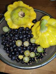 IMG_20230717_124951.jpg