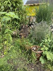 Ecke im Vorgarten mit Insektentränke, Totholzelement, Sonnenblume und anderem „Grünzeug“