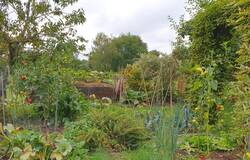 20220828_103737.jpg
