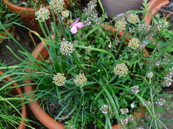 DSCN2311.JPG