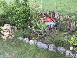 Sandarium mit Totholz, Steinhaufen, Hummelhotel, Käferkeller und wildem Eck. Bepflanzt mit Hauswurz, Mohn, Karde, Grasnelke, Sedum, Lavendel und wilden Disteln.