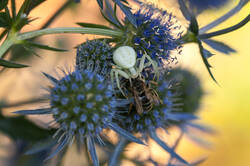 16.07.2023 Mannstreu.jpg