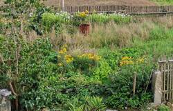 230831 Bauerngarten 1.jpg