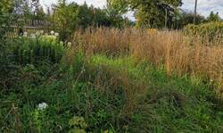 230831 Bauerngarten 2.jpg