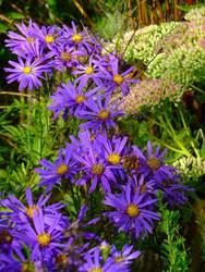 DSC03320.JPG