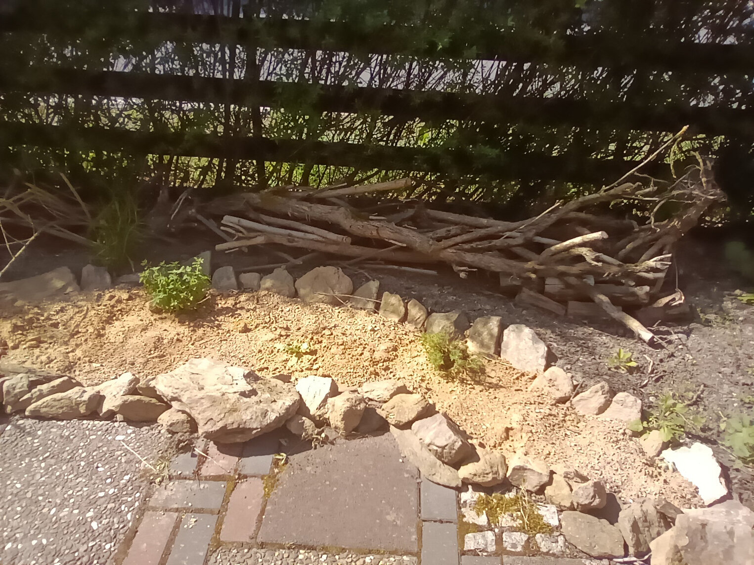 Rhododendren im Vorgarten entfernt, jetzt ein Sandbeet mit Totholz im Hintergrund.