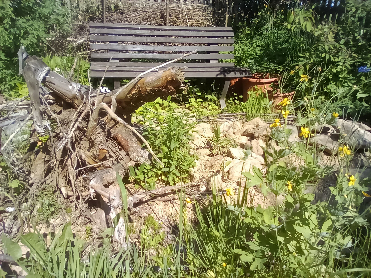 Sandarium, im Hintergrund die kleine Benjeshecke.