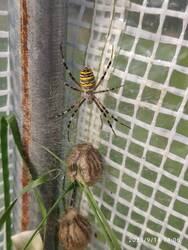 IMG_20230914_140607.jpg