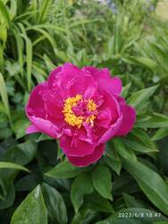 IMG_20230608_184705.jpg