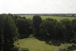 Rechts hinter dem Barockgarten befindet sich eine Hochstaudenflur, die gerade von zwei Rindern gepflegt wird.