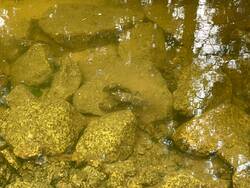 IMG-20230924-WA0008.jpg