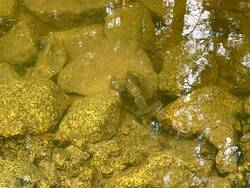 IMG-20230924-WA0000.jpg