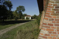 Große Wiese südlich der Burg. Im Schatten links steht das Sonnensegel.