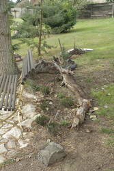 _MG_0628.JPG (398.07 KiB) 9443 mal betrachtet Heidebeet östlich der Was-auch-immer-Tanne und