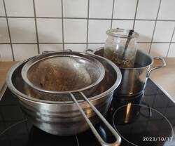 IMG_20231017_150300.jpg