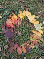 PXL_20231017_143354818.jpg