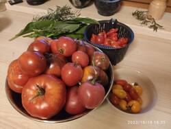 IMG_20231018_183508.jpg
