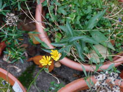 DSCN2404.JPG