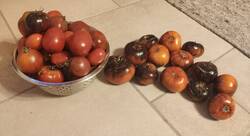 IMG_20231026_193539.jpg