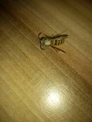 IMG_20231027_083128.jpg