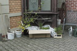 _MG_0692.JPG (323.76 KiB) 9090 mal betrachtet Bibernellrosen, Gem. Schneeball, Salweide, Heiden, Heidelbeeren, Ewiger Kohl u.a.