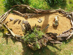 Sandarium auf der Streuobstwiese