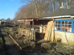 Umsetzten des Lavendels an die Terrasse