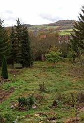 IMG_20231110_105537.jpg