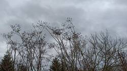 IMG_20231110_132835.jpg