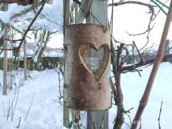 IMG_20231205_151153.jpg