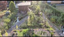 Garten im zweiten Jahr
