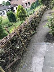 Totholzhecke nach der Entstehung