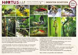 insekten-schuetzen.jpg