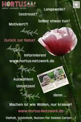 hortus-netzwerk10.jpg