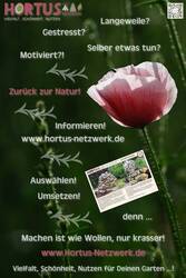 hortus-netzwerk10.jpg