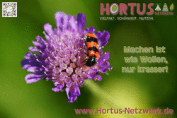 hortus-netzwerk03.png