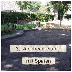 blumenwiese3.jpg